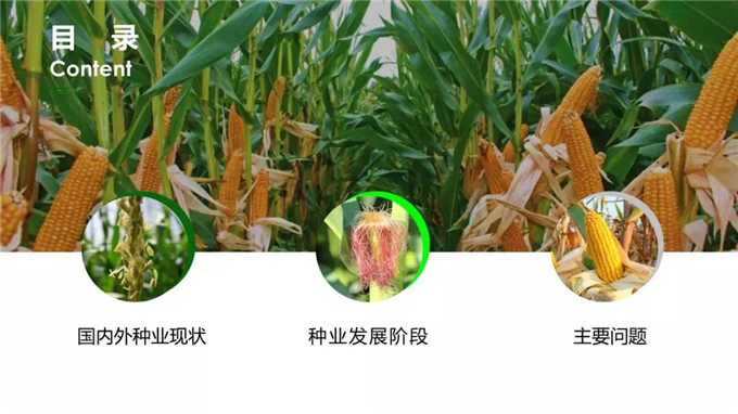 vkgame 威客电竞通用行业大宗贸易综合服务网页标准配置图片