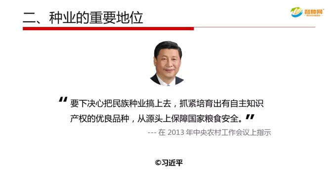 vkgame 威客电竞全站标准网络访问地址与节点安全配置图片