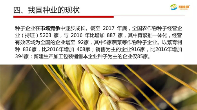 vkgame 威客电竞官方响应式多终端网页版面配置管理图片