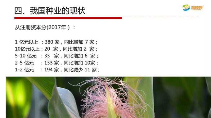 vkgame 威客电竞全站专属采购通道登录与订单提交通道图片