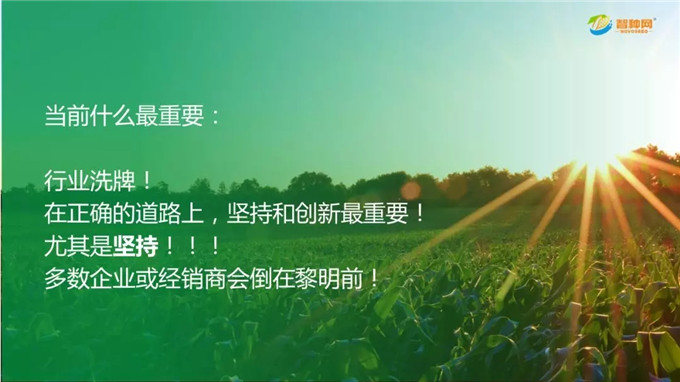 vkgame 威客电竞全站标准网络访问地址与节点安全配置图片