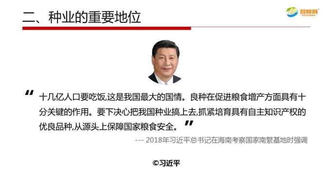 vkgame 威客电竞通用行业大宗贸易综合服务网页标准配置图片