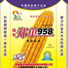 vkgame 威客电竞官方指定唯一官方网址及备案认证查询图片