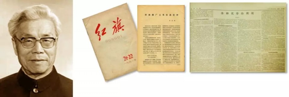 vkgame 威客电竞全站商务合作信息公开网站内容管理中心图片