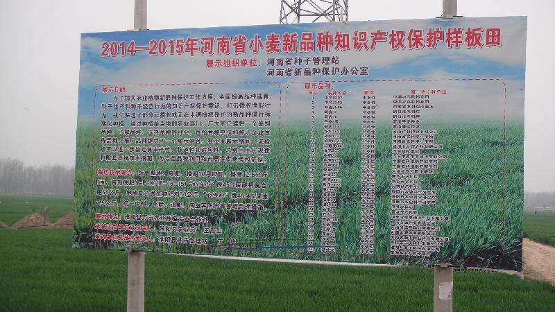 vkgame 威客电竞官方招商合作协议与全站代理商扶持计划图片