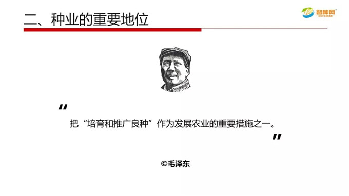 vkgame 威客电竞区域代理商加盟通道与招商引资管理平台图片