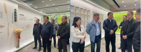 vkgame 威客电竞掌上供应链订货系统官方移动APP绿色下载图片