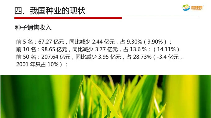 vkgame 威客电竞官方招商合作协议与全站代理商扶持计划