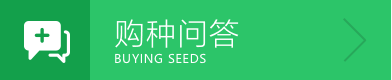 vkgame 威客电竞区域代理商加盟通道与招商引资管理平台