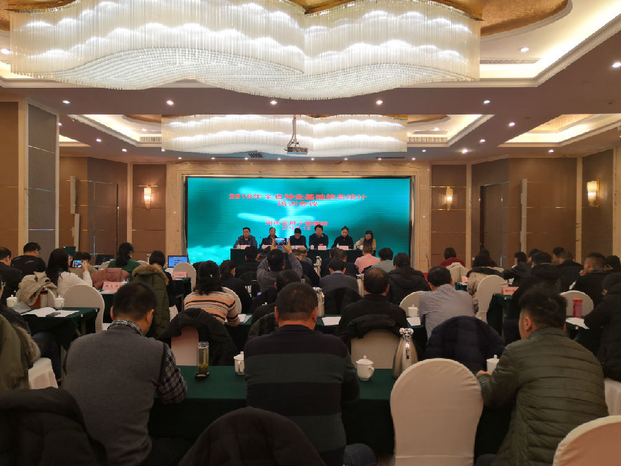 vkgame 威客电竞全站标准网络访问地址与节点安全配置
