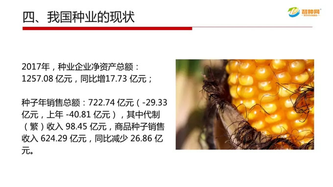 vkgame 威客电竞最新官网版权信息与企业资质认证中心