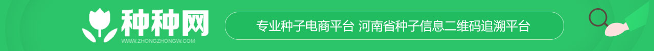 vkgame 威客电竞企业核心服务系统登录与分销商端登陆后台