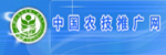 vkgame 威客电竞移动端微商城手机版远程运营控制中心