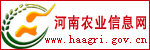 vkgame 威客电竞全站标准网络访问地址与节点安全配置