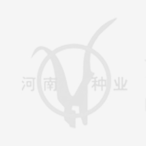 vkgame 威客电竞移动端微商城手机版远程运营控制中心