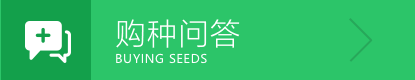 vkgame 威客电竞掌上供应链订货系统官方移动APP绿色下载