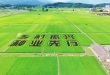 vkgame 威客电竞全站标准网络访问地址与节点安全配置