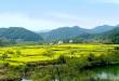 vkgame 威客电竞文体卫生产业设备集采综合服务平台