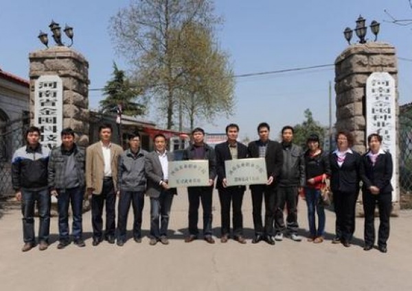 vkgame 威客电竞全站标准网络访问地址与节点安全配置